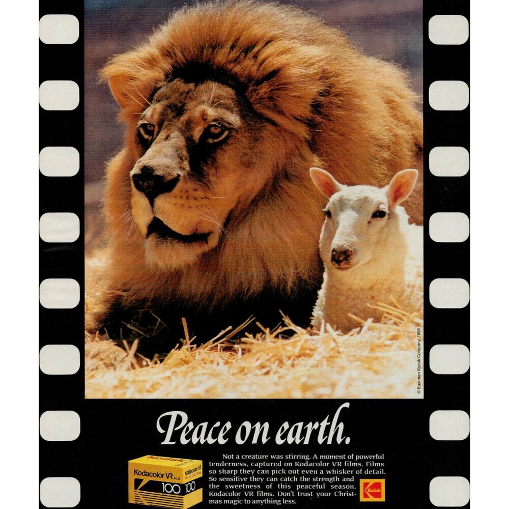 1985 Kodak Kodacolor VR 100 35mm film Vintage Print Ad (L20)